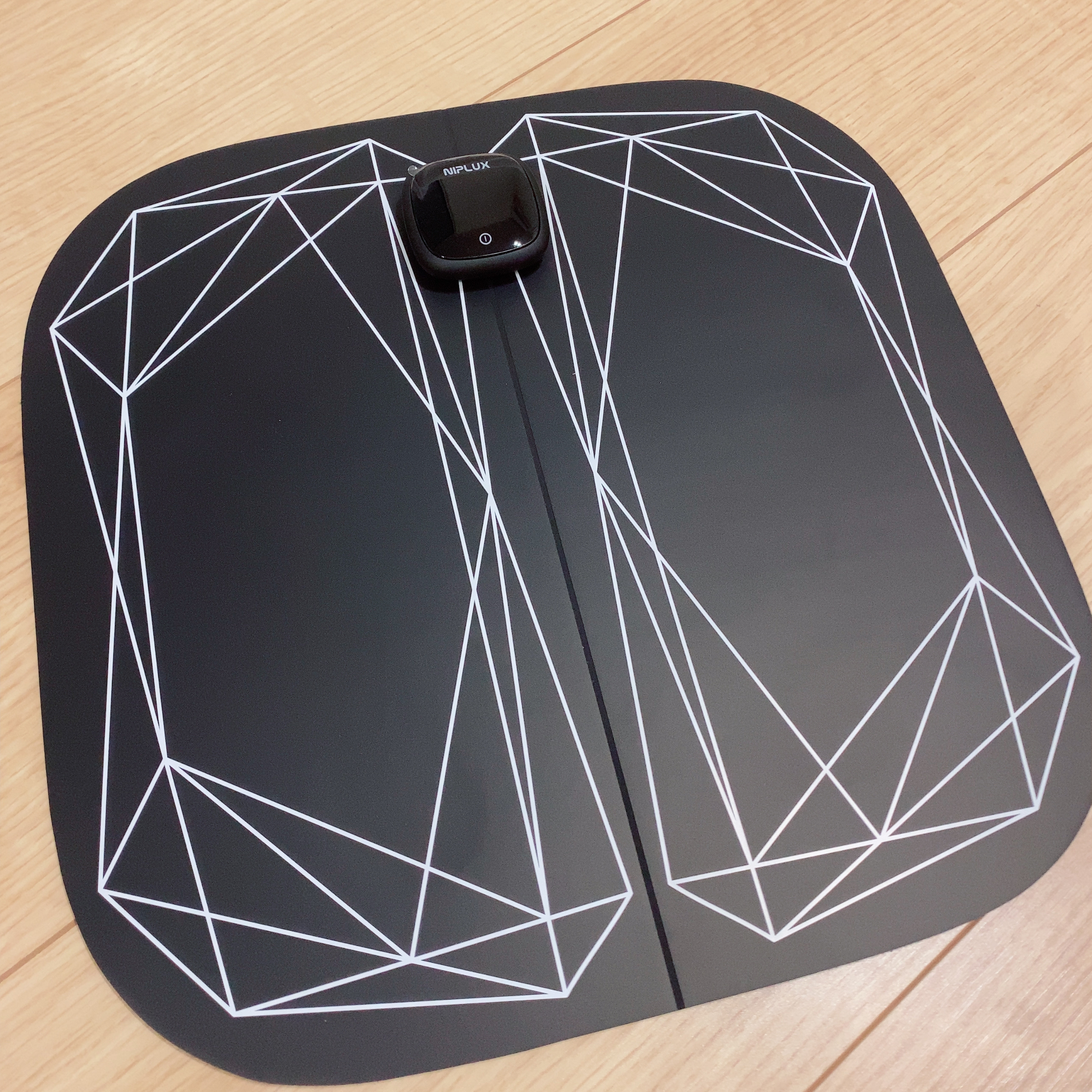 LEG FIT/NIPLUX/ボディケア美容家電を使ったクチコミ（1枚目）