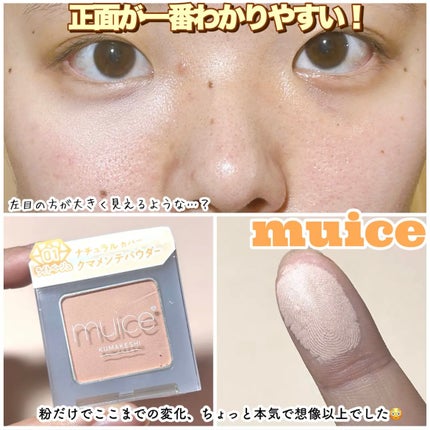 エテュセ アイエディション(カラーパレット)/ettusais/アイシャドウパレットを使ったクチコミ(5枚目)