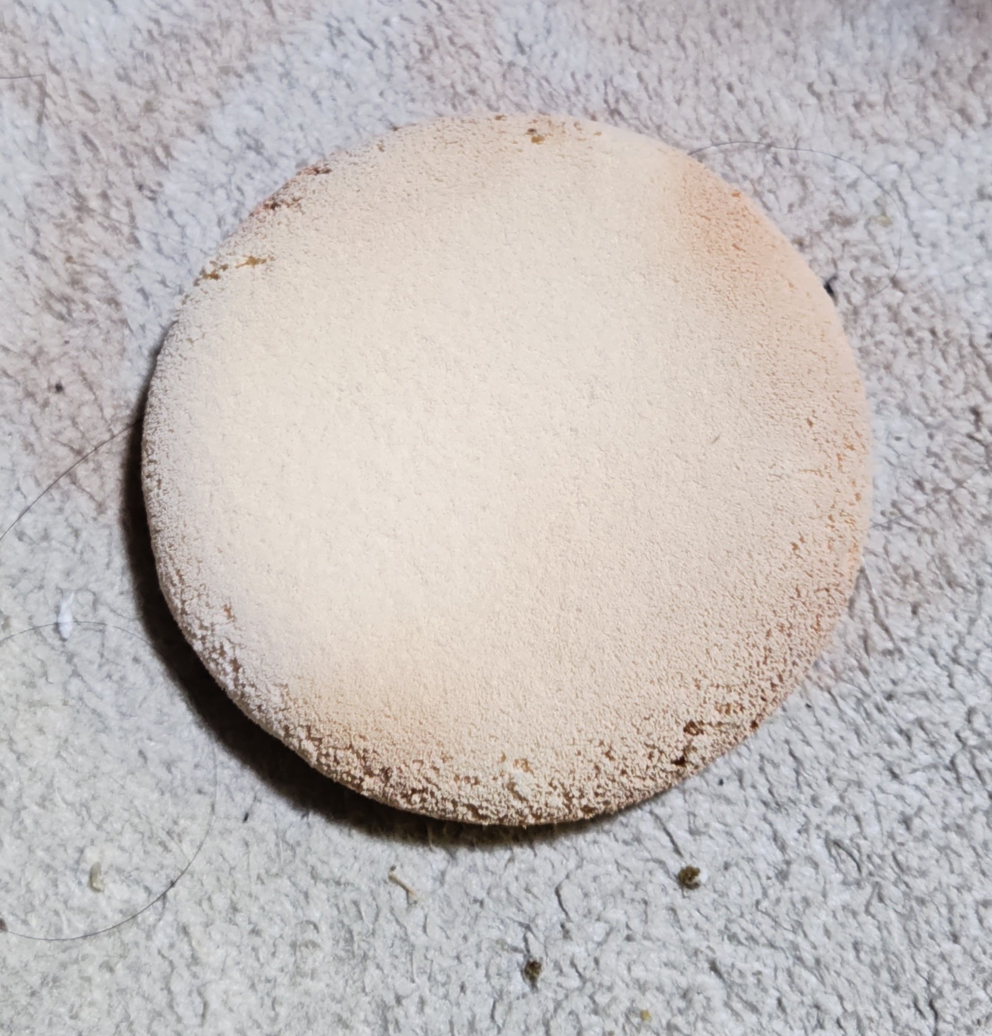 マシュマロムースタッチパフ/ロージーローザ/パフ・スポンジを使ったクチコミ（2枚目）