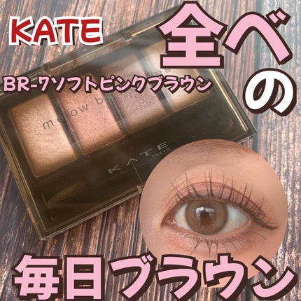 ケイト メロウブラウンアイズ/KATE/アイシャドウパレットを使ったクチコミ(1枚目)
