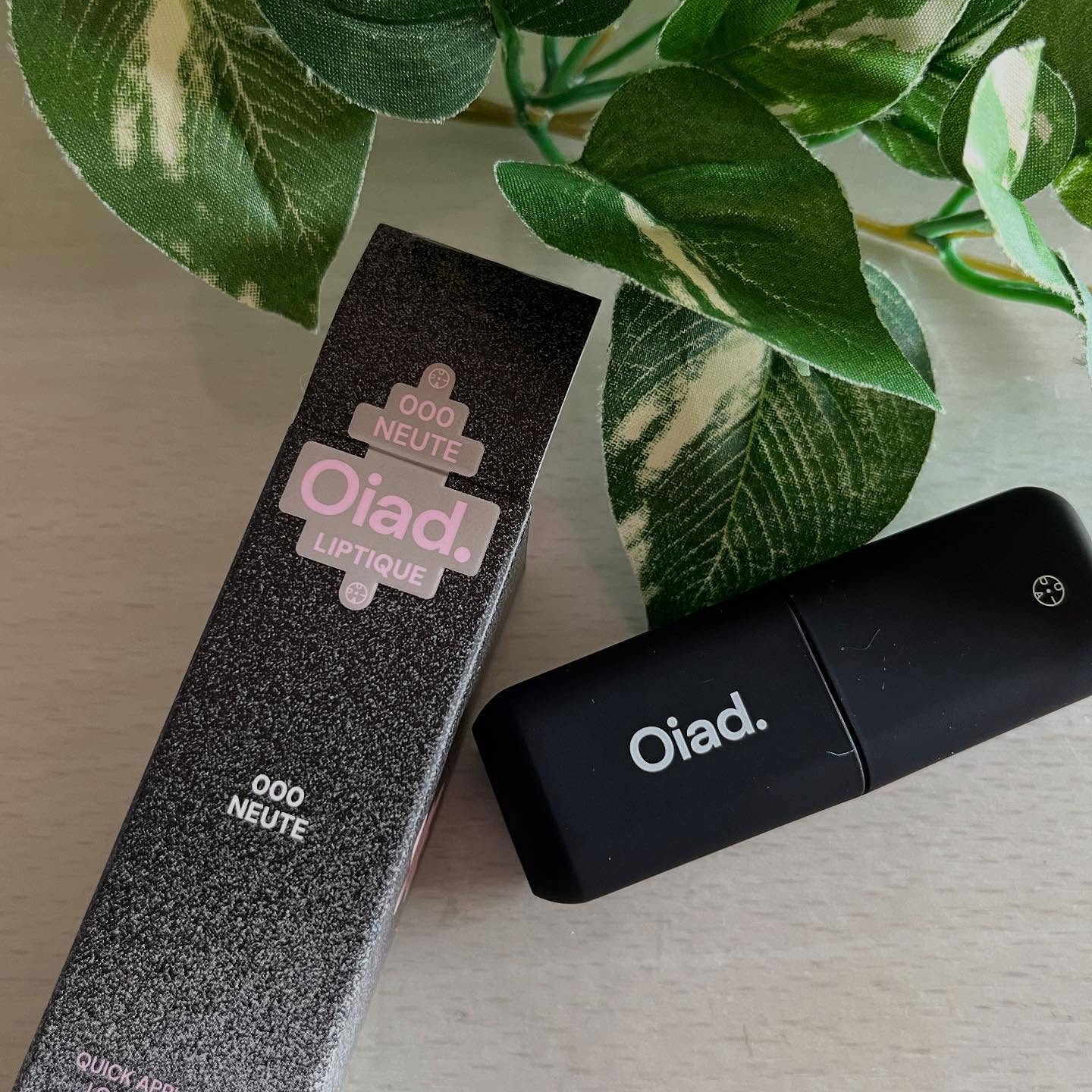 リップティーク 000 ニューテ/oiad/口紅を使ったクチコミ（1枚目）