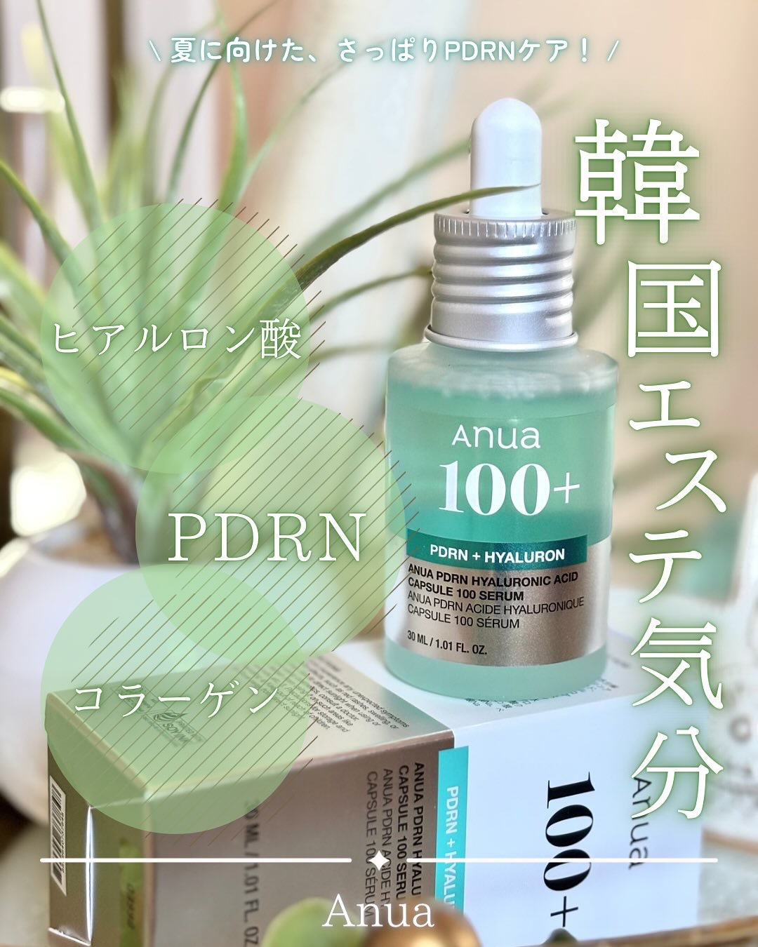 PDRNヒアルロン酸カプセル100セラム/Anua/美容液を使ったクチコミ（1枚目）