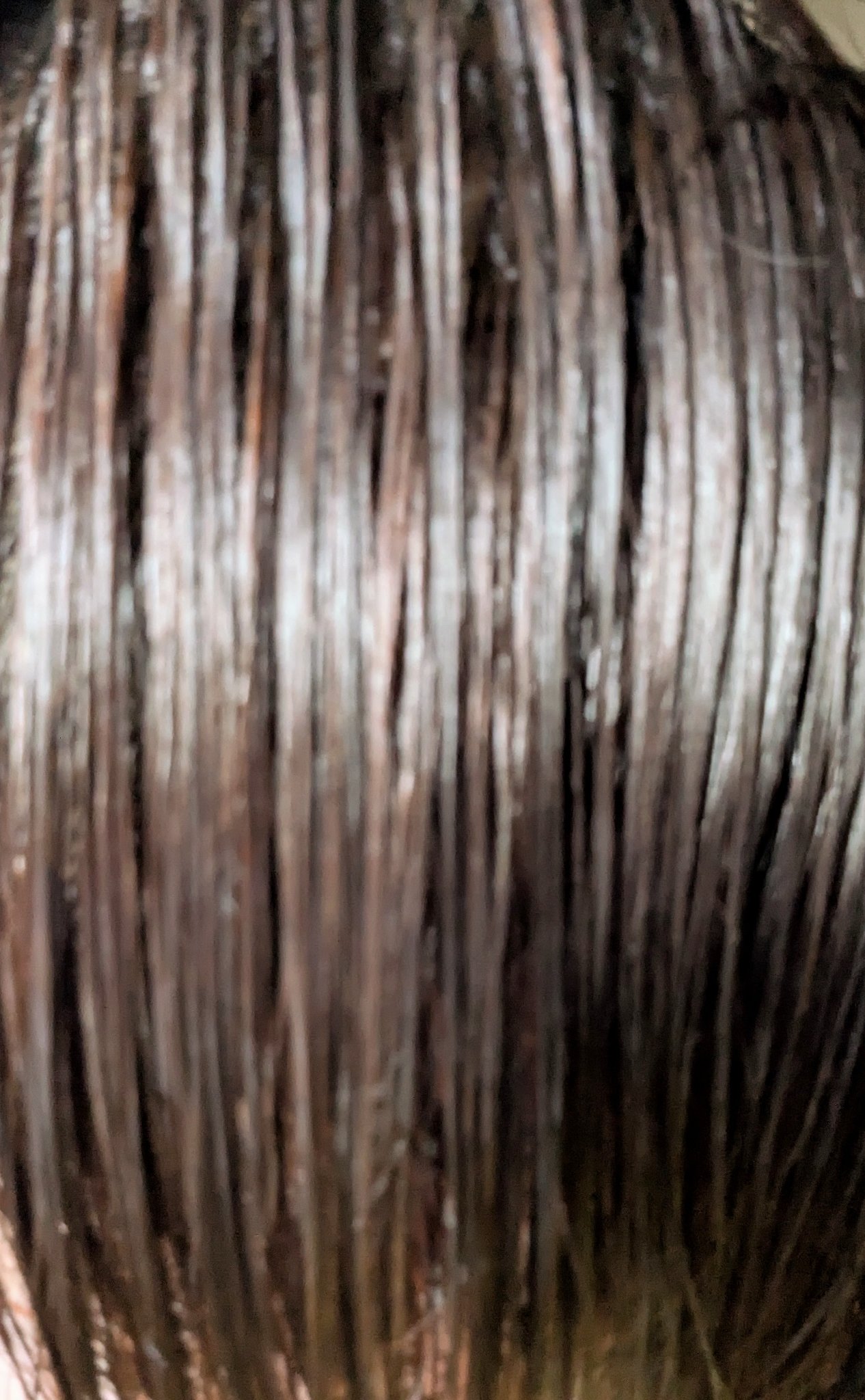 ファンゴ シャンプー/Prédia/市販シャンプーを使ったクチコミ（3枚目）