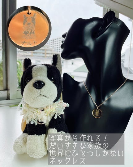 しのち☀️ on LIPS 「いつもいっしょペットの写真から作る世界に一つだけのオリジナルペ..」(5枚目)