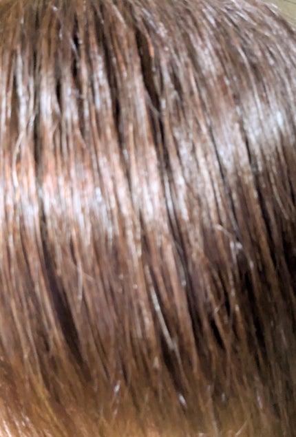 ファンゴ ヘアマスク n/Prédia/ヘアマスク・ヘアパックを使ったクチコミ(4枚目)