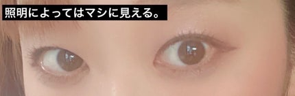 シルキースフレアイズ(マットタイプ)/キャンメイク/アイシャドウパレットを使ったクチコミ(5枚目)