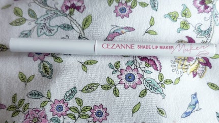 影色リップメイカー/CEZANNE/口紅・グロス・リップライナー・リップケアを使ったクチコミ(1枚目)