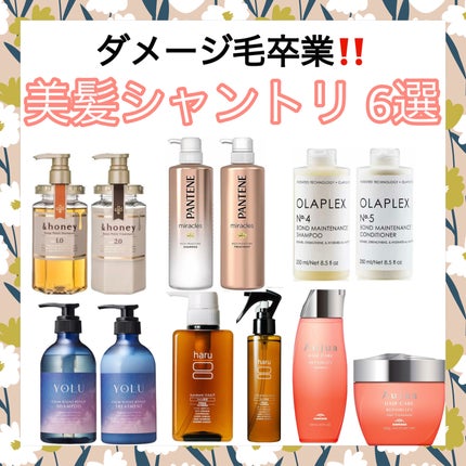 ディープモイスト シャンプー1.0/ヘアトリートメント2.0/&honey/市販シャンプーを使ったクチコミ(1枚目)
