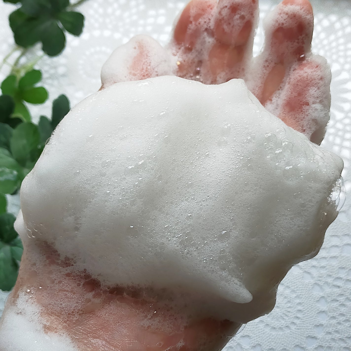 ラサーナ プレミオール シャンプー/トリートメント/ラサーナ/シャンプー・コンディショナーを使ったクチコミ(2枚目)