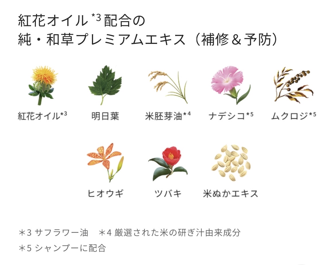 いち髪　シャンプー＆コンディショナー（涼やかな和ハッカの香り） 2025/いち髪/市販シャンプーを使ったクチコミ（3枚目）