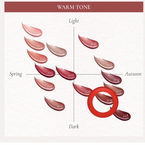 ブラーグロイリップティント 209 フィデス/Dinto/リップティントを使ったクチコミ（3枚目）