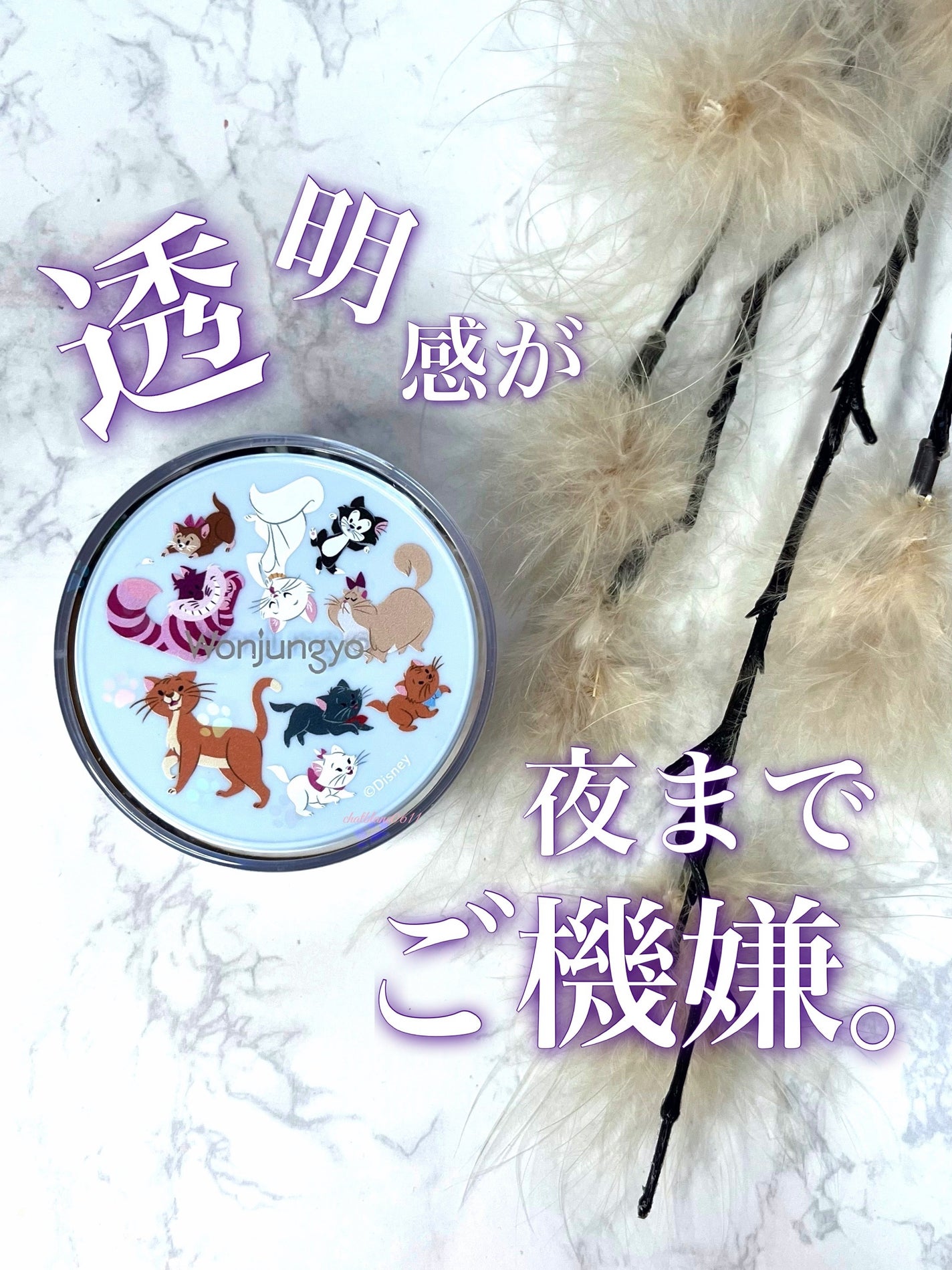 ウォンジョンヨ フィクシングブラーパウダー N/Wonjungyo/ルースパウダーを使ったクチコミ(1枚目)