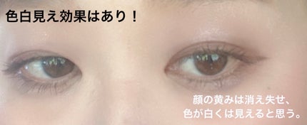 シルキースフレアイズ(マットタイプ)/キャンメイク/アイシャドウパレットを使ったクチコミ(4枚目)