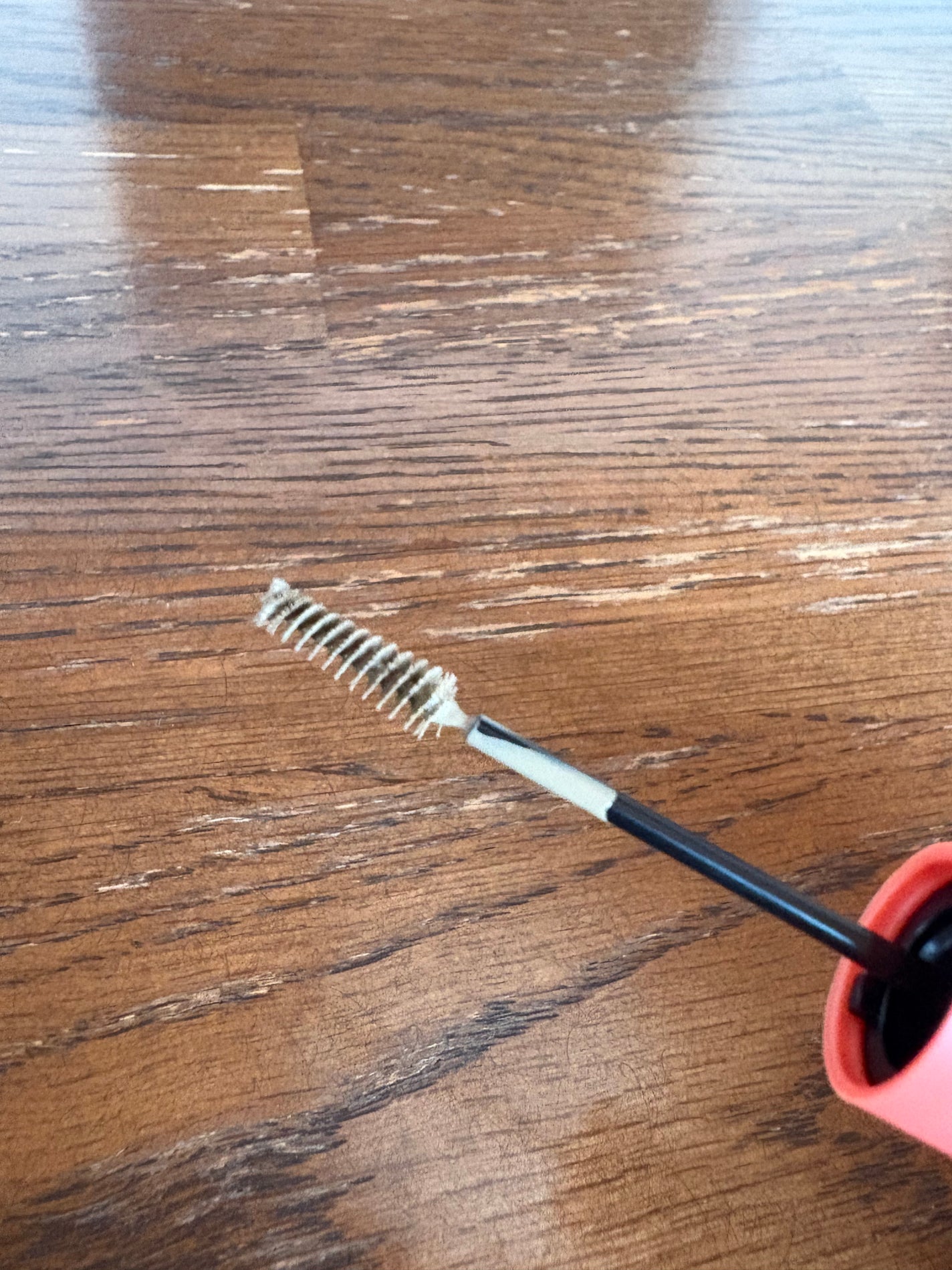 ãã£ã«ã çã«ã©ãŒ/ããžã£ãŽã¥/çãã¹ã«ã©ã䜿ã£ãã¯ãã³ãïŒ2æç®ïŒ