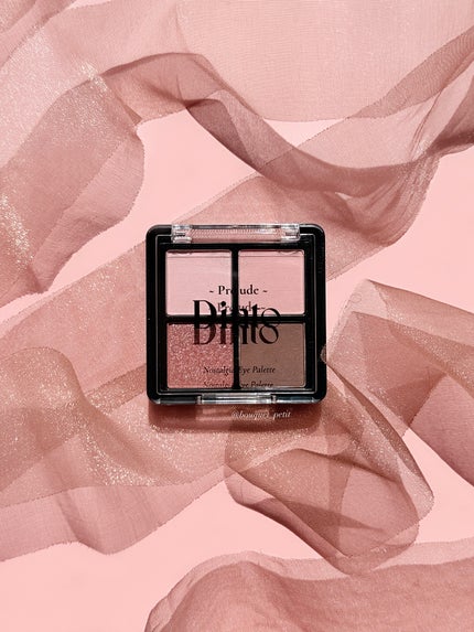プレリュード・ディント ノスタルジア アイシャドウパレット/Dinto/アイシャドウパレットを使ったクチコミ(2枚目)