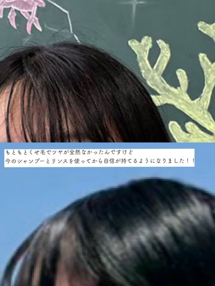 ボタニカルシャンプー/トリートメント(スカルプクレンズ) /BOTANIST/市販シャンプーを使ったクチコミ(3枚目)