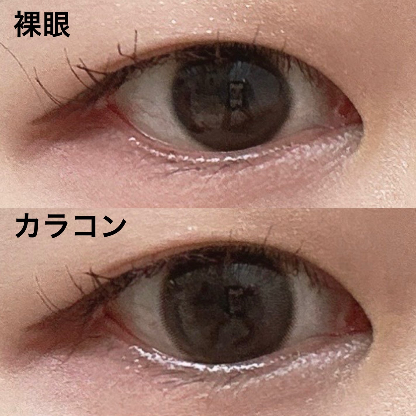 MOLAK 1month/MOLAK/1ヶ月(1MONTH)カラコンを使ったクチコミ(2枚目)