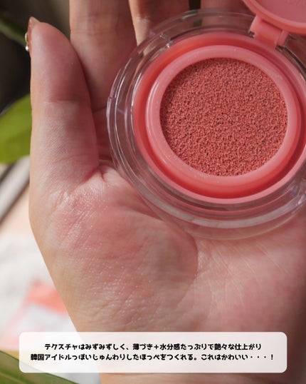 アーティストクッションブラッシュ/JUNG SAEM MOOL/リキッドチークを使ったクチコミ(4枚目)