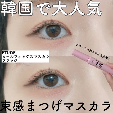 カールフィックスマスカラ/ETUDE/マスカラを使ったクチコミ(1枚目)