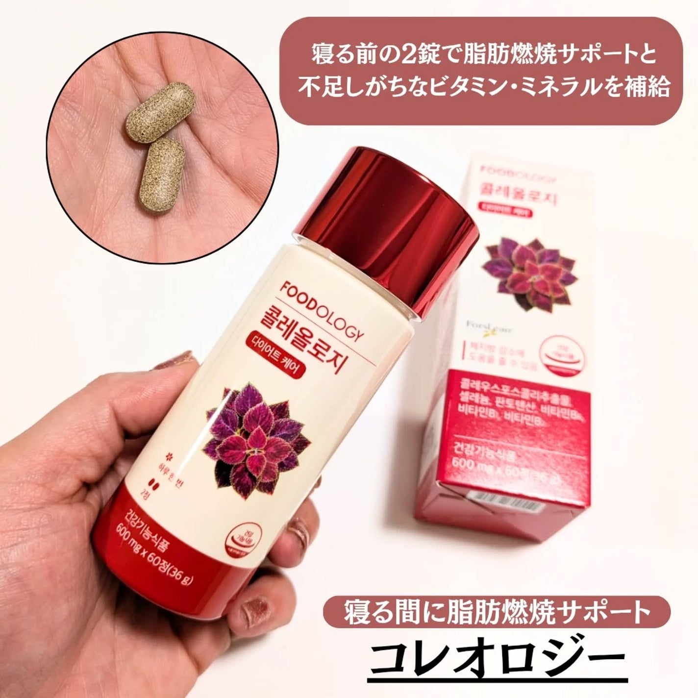 コレオロジーティー/FOODOLOGY/ドリンクを使ったクチコミ(6枚目)