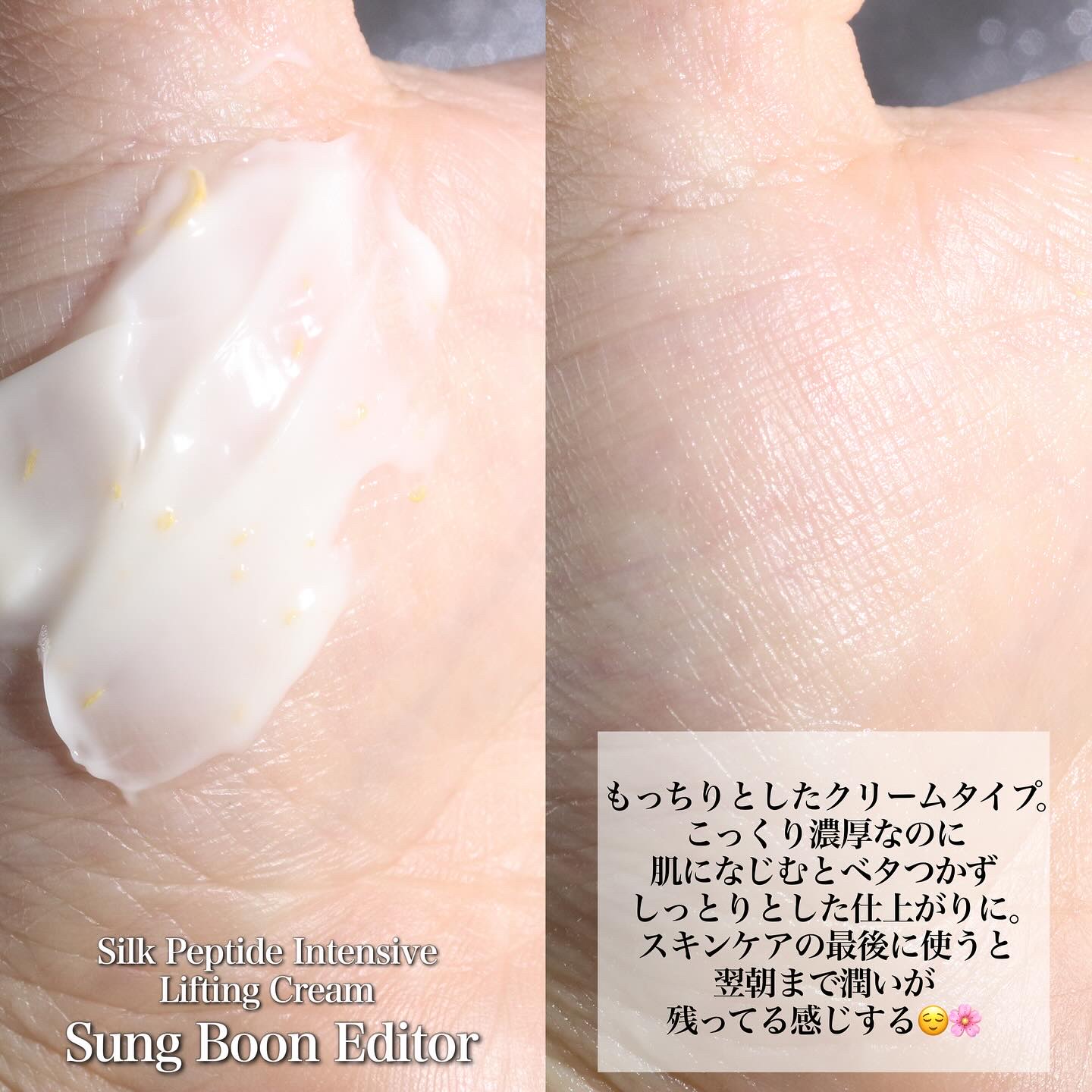 シルクペプチドインテンシブリフティングクリーム/SUNGBOON EDITOR（成分エディター）/フェイスクリームを使ったクチコミ（3枚目）