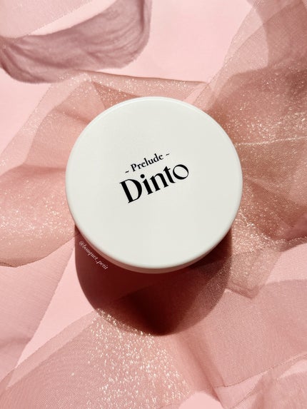 プレリュード・ディント ノスタルジア アイシャドウパレット/Dinto/アイシャドウパレットを使ったクチコミ(5枚目)