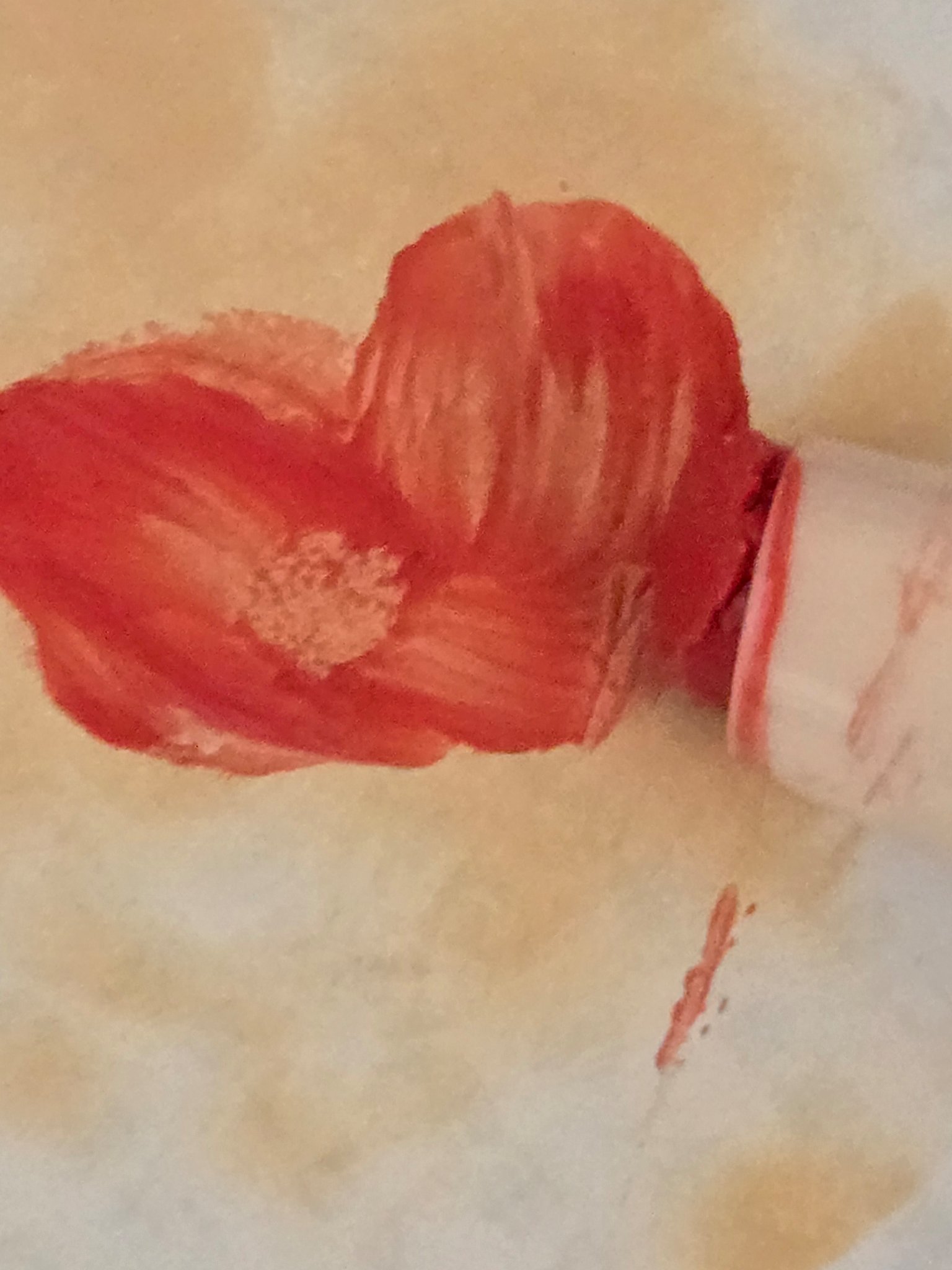 ステイオンバームルージュ 13 ミルキーアリッサム/キャンメイク/口紅を使ったクチコミ（1枚目）