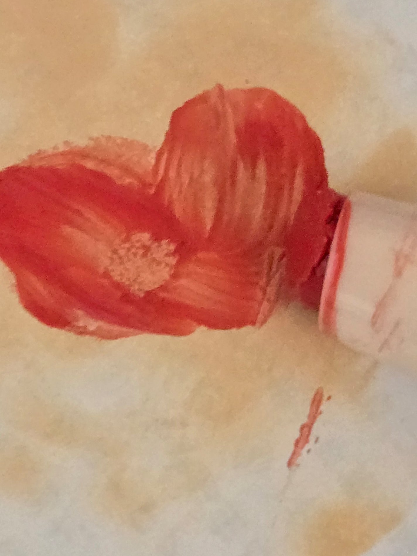 ステイオンバームルージュ/キャンメイク/口紅を使ったクチコミ(1枚目)