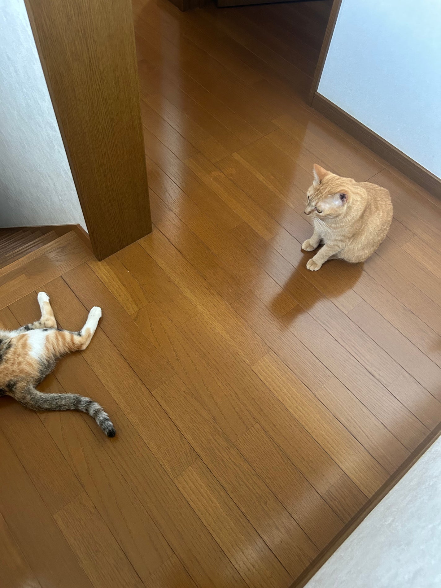 ðââ¬ã«ãããðŸ on LIPS ãããã¯å®¶ãšååããŠãªããããããé·ããããããã³ã°ã«ããâŠã..ãïŒ3æç®ïŒ