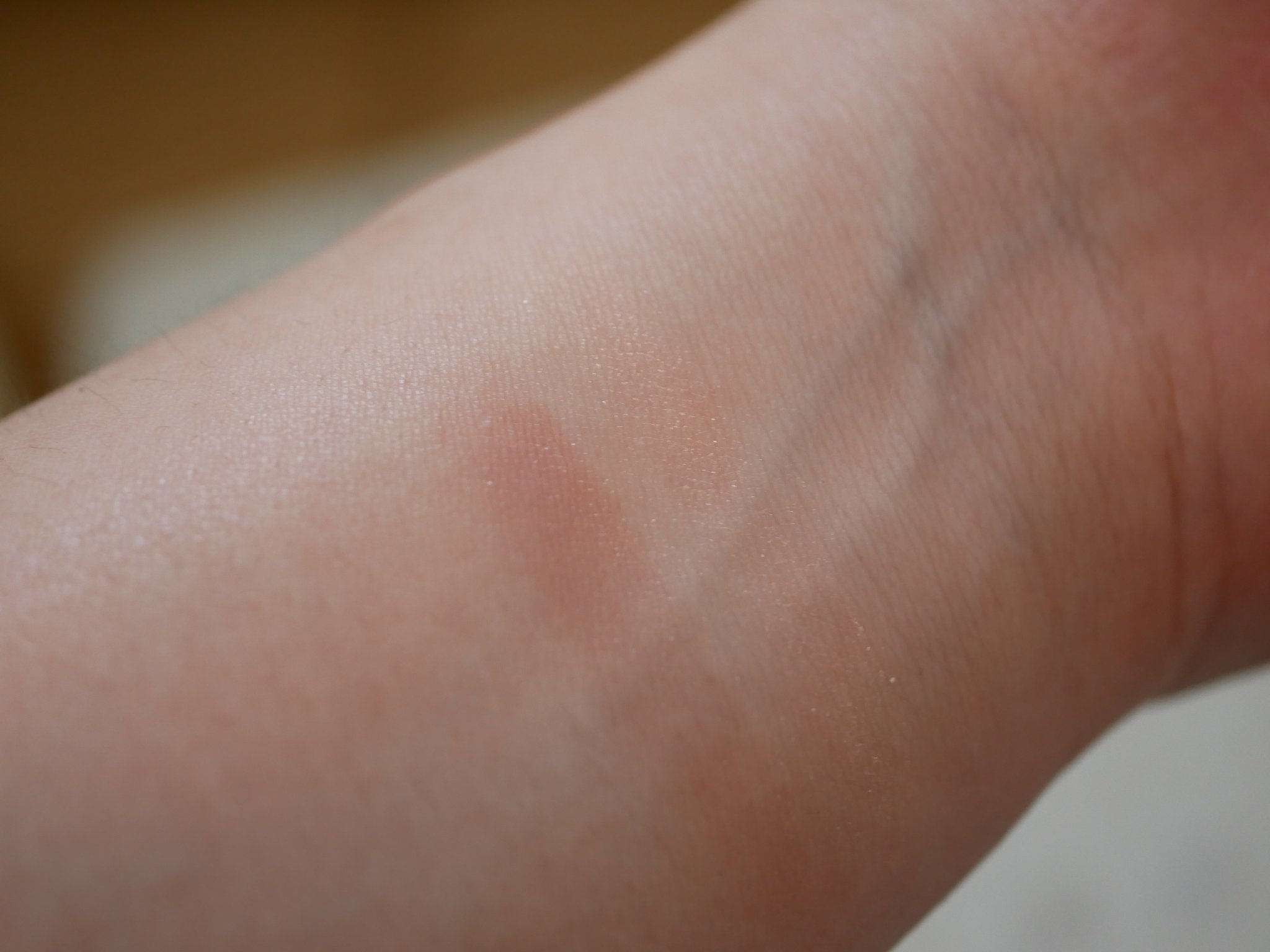 アイカラー/media luxe/アイシャドウパレットを使ったクチコミ（2枚目）