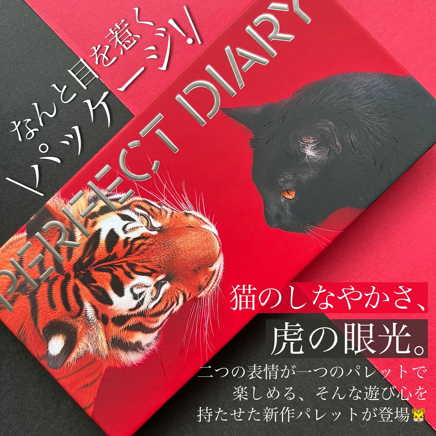 エクスプローラ12色 動物アイシャドウパレット/PERFECT DIARY/アイシャドウパレットを使ったクチコミ（2枚目）