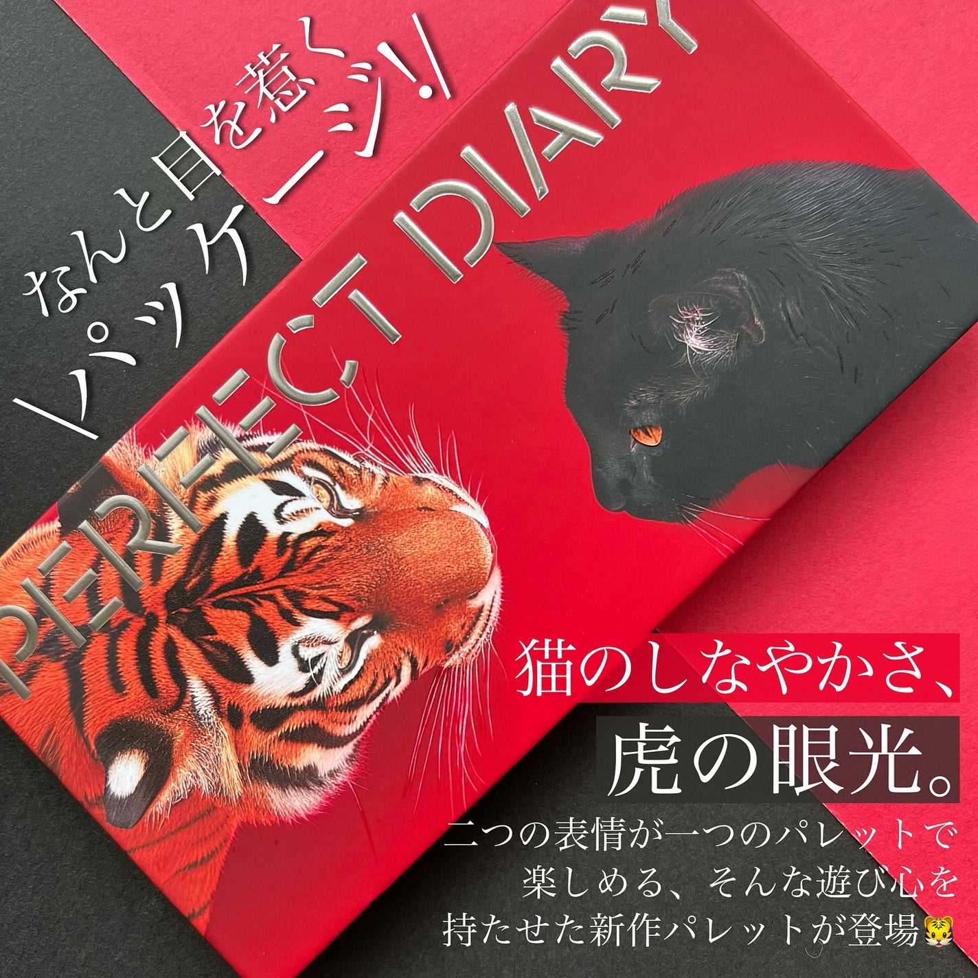 エクスプローラ12色 動物アイシャドウパレット/PERFECT DIARY/アイシャドウパレットを使ったクチコミ(2枚目)