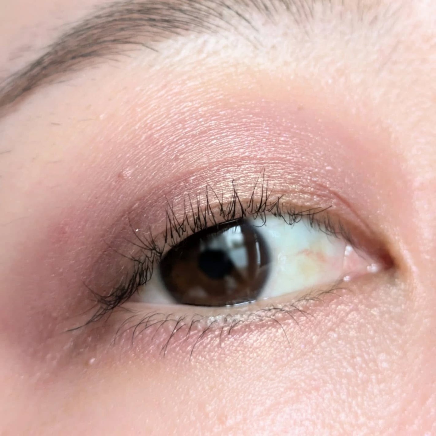 ルナソル アイカラーレーションN/LUNASOL/アイシャドウパレットを使ったクチコミ(5枚目)