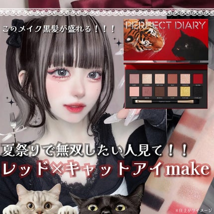 エクスプローラ12色 動物アイシャドウパレット/PERFECT DIARY/アイシャドウパレットを使ったクチコミ(1枚目)
