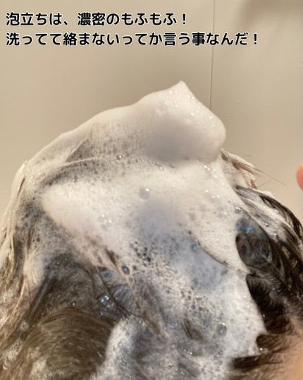 SCALP D NEXT+/アンファー(スカルプD)/スカルプシャンプーを使ったクチコミ(3枚目)