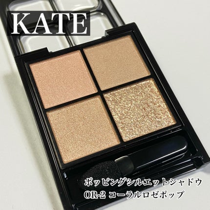 ケイト ポッピングシルエットシャドウ/KATE/アイシャドウパレットを使ったクチコミ(1枚目)