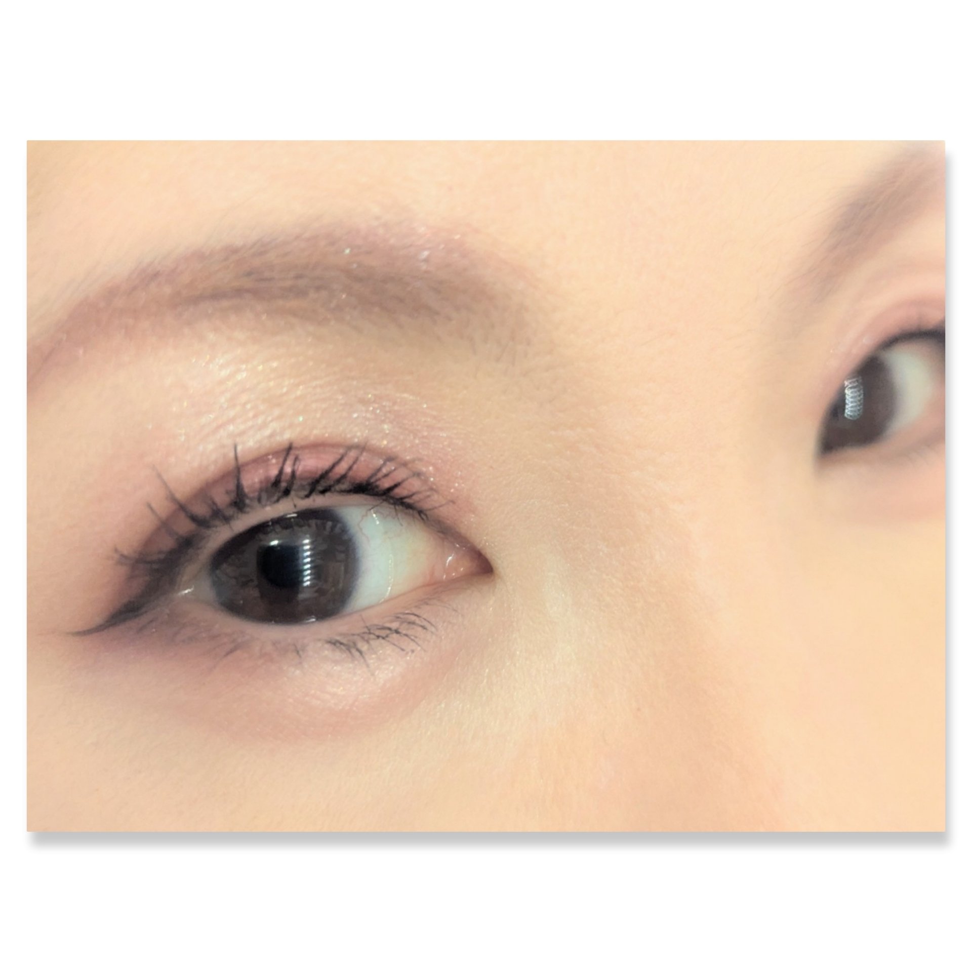 ヴォワヤジュールアイシャドウパレット/NARS/アイシャドウパレットを使ったクチコミ（2枚目）