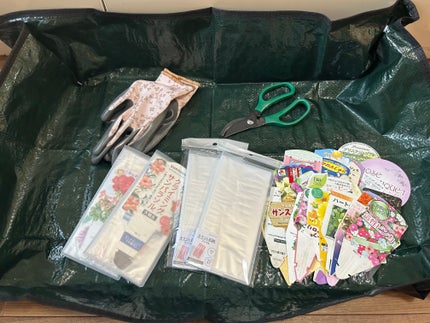 ひふみレイキ💫フォロバ♾️ on LIPS 「すっかり元気になった愛犬ひふみ🐶新しいお洋服を着せて、私も心機..」(3枚目)