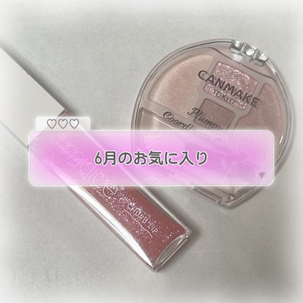 プランぷくコーデアイズNeo/キャンメイク/アイシャドウを使ったクチコミ(1枚目)
