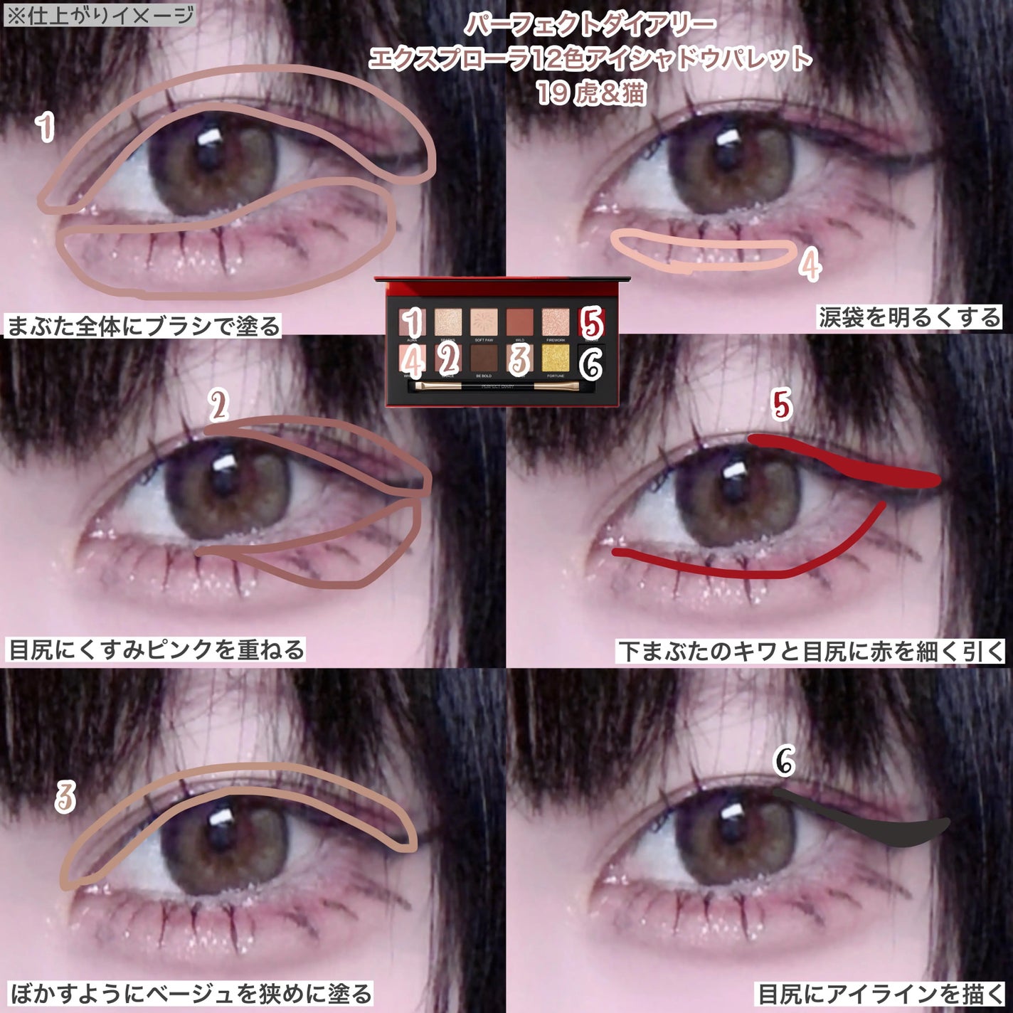 エクスプローラ12色 動物アイシャドウパレット/PERFECT DIARY/アイシャドウパレットを使ったクチコミ(3枚目)