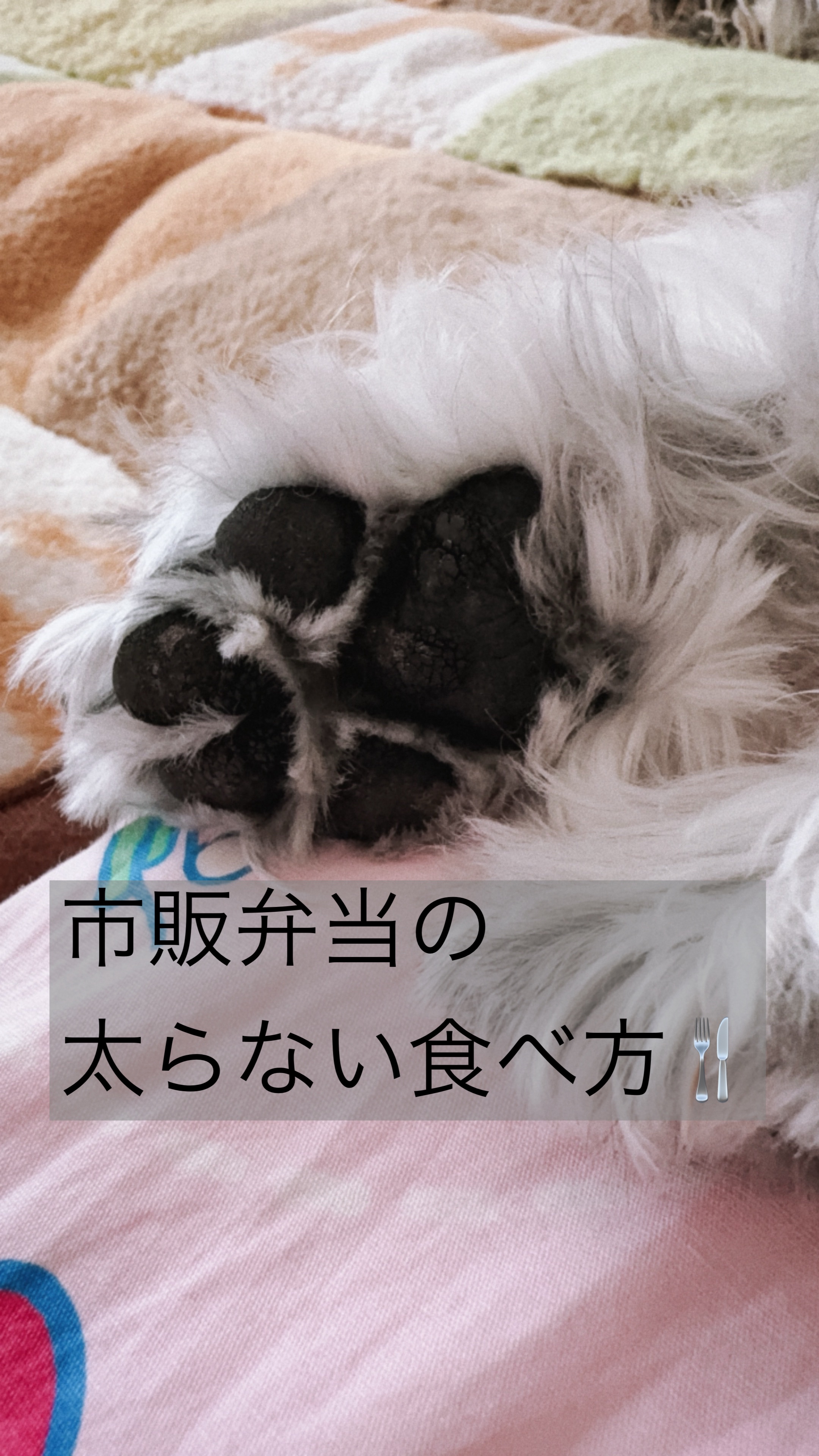 〜市販弁当の太らない食べ方🍴〜

お弁当🍱は美味しいですよね！私も大好きです💕
コンビニ弁当や、スーパーのお弁当の1食分（お弁当1個分）のカロリーは、大体500kcal〜800kcal位の物が多いです。

大体、成人女性のカロリー摂取