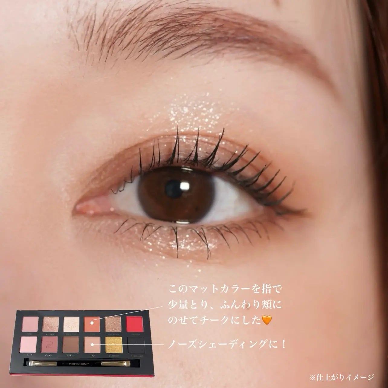 エクスプローラ12色 動物アイシャドウパレット/PERFECT DIARY/アイシャドウパレットを使ったクチコミ(6枚目)