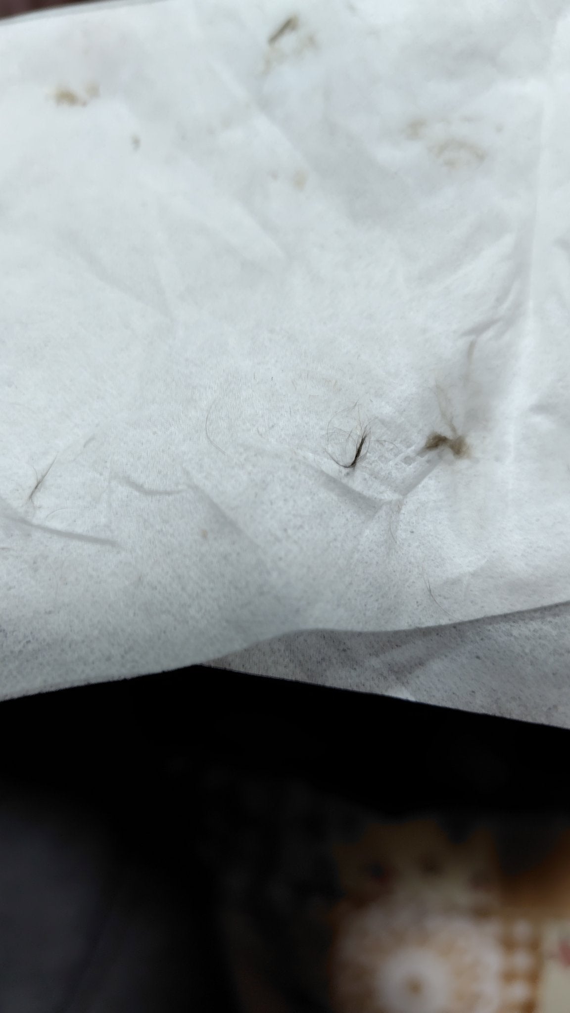 サロンプラス トーンアップ フェイススムーサー ホルダー(刃付き)/サロンプラス/シェーバーを使ったクチコミ(5枚目)