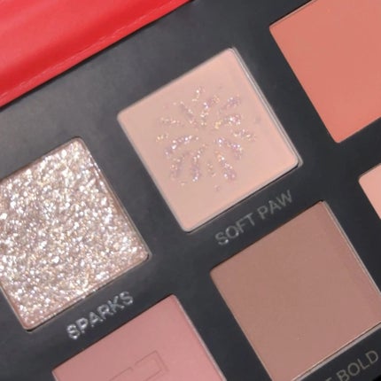 エクスプローラ12色 動物アイシャドウパレット/PERFECT DIARY/アイシャドウパレットを使ったクチコミ(8枚目)