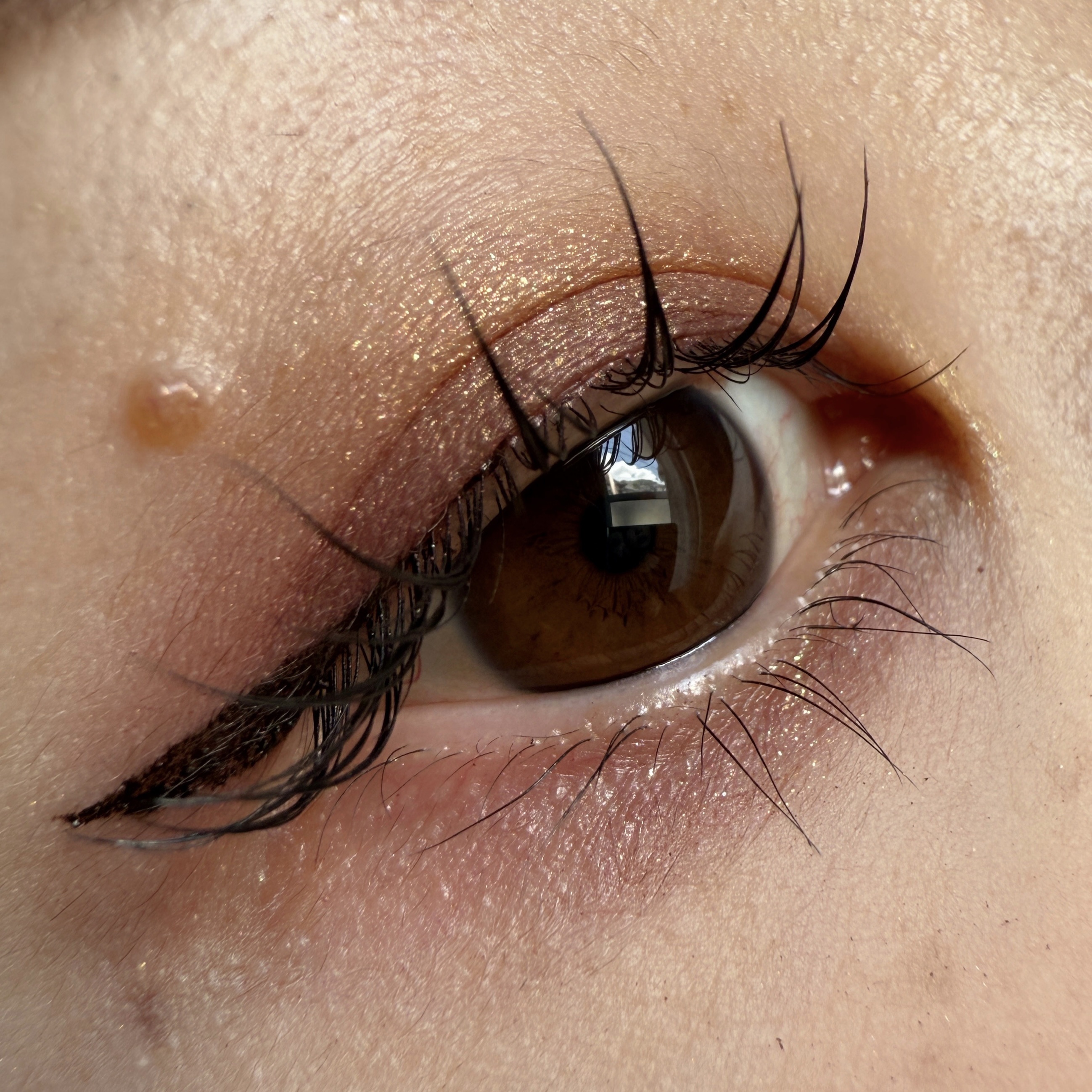 リュクスアイシャドウ/BOBBI BROWN/単色アイシャドウを使ったクチコミ（1枚目）