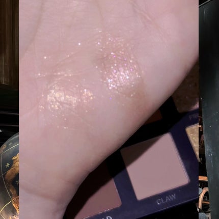 エクスプローラ12色 動物アイシャドウパレット/PERFECT DIARY/アイシャドウパレットを使ったクチコミ(7枚目)