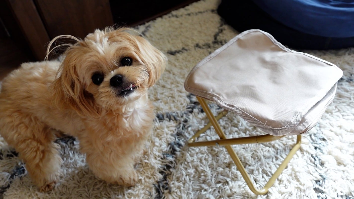 うさくまちゃん@YouTube on LIPS 「万博・夏フェスに大活躍!折りたたみ椅子🏖️長時間並ぶ日の神アイ..」(4枚目)