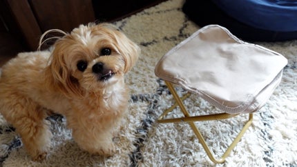 うさくまちゃん@YouTube on LIPS 「万博・夏フェスに大活躍!折りたたみ椅子🏖️長時間並ぶ日の神アイ..」(4枚目)