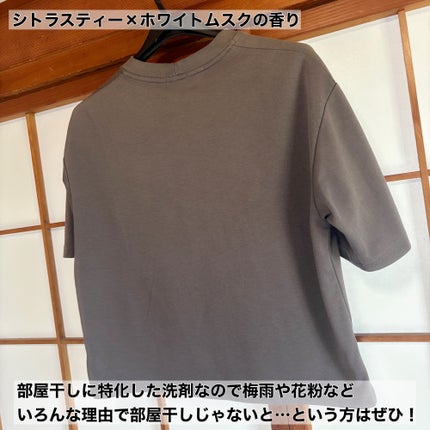 カーポッド 部屋干しEX/王子製薬/洗濯洗剤を使ったクチコミ(4枚目)