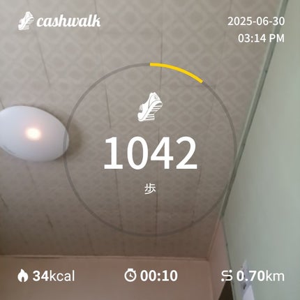 つっしー on LIPS 「#キャッシュウォーク#ポイ活..」(1枚目)